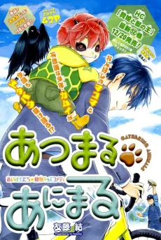 Atsumari Animal cover