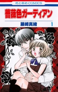 Barairo Guardian cover