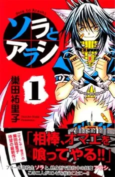 Sora to Arashi cover