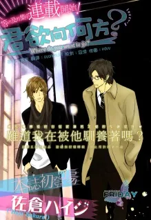 Doko ni Iku? cover