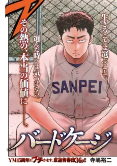 Birdcage cover