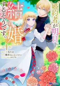 Konyakusha ga Asu, Kekkon Suru Sou Desu. cover