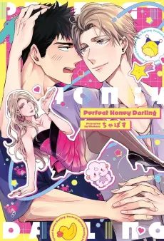 Perfect Honey Darling cover