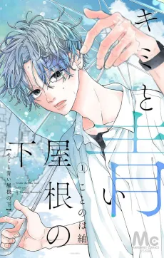 Kimi to Aoi Yane no Shita cover