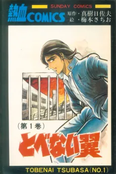 Tobenai Tsubasa cover