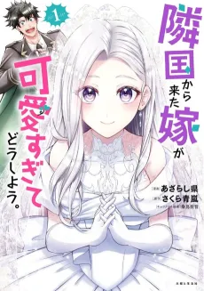 Ringoku kara Kita Yome ga Kawaisugite Doushiyou. cover