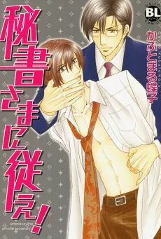 Obey Your Secretary! cover