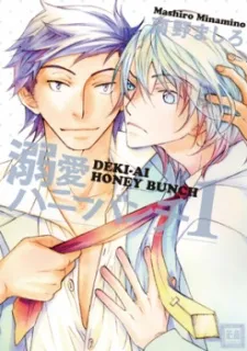 Dekiai Honey Bunch cover