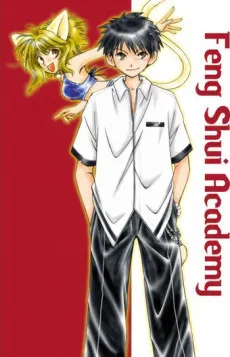 Feng Shui Academy cover