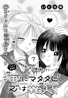Neko ni Matatabi, Mata wa Hakoiri cover
