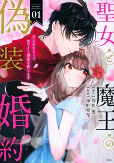 Seijo to Maou no Gisou Konyaku: Te ni Te wo Totte White Kokka wo Tsukurimasu cover