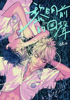 The Echo Before Dawn cover