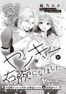 Yankee ga Migiude ni Narimashita cover