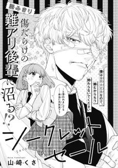 Secret Sale cover