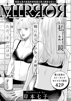 MIRROR cover