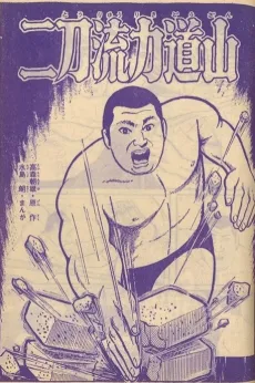 Nitoryuu Rikidouzan cover