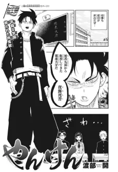 Yanken cover