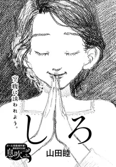 Shiro cover