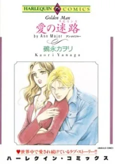 Ai no Labyrinth cover