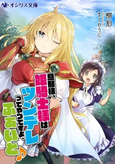 Dannasama, Himekishi-sama wa Tsundere tte Yatsu desu yo, Fight♪ cover