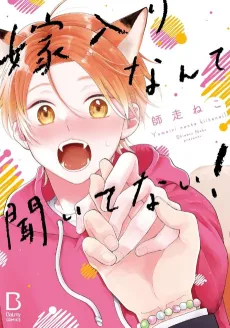 Yomeiri Nante Kiitenai! cover