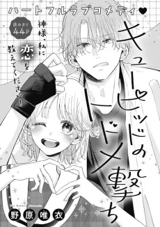 Cupid no Todomeuchi cover