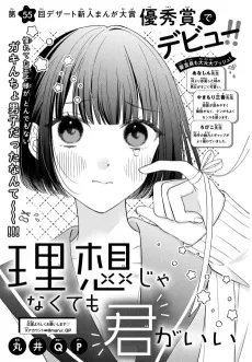 Risou Janakute mo Kimi ga Ii cover