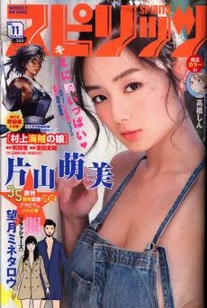 Flushers cover