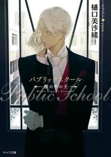 Public School cover
