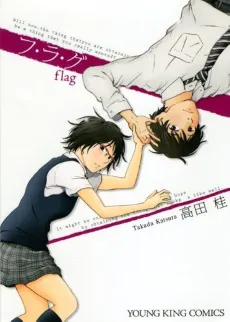 flag cover