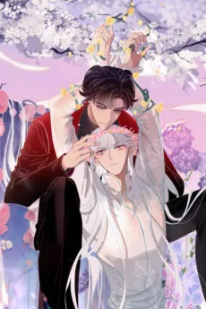 Hua Luocheng Lao cover