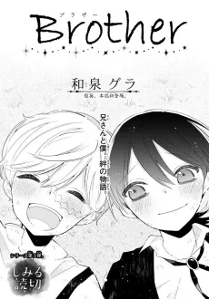 Brother cover