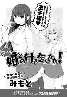 Tadashii Hime to no Tsukiai Kata! cover