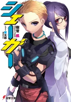 Schegar cover