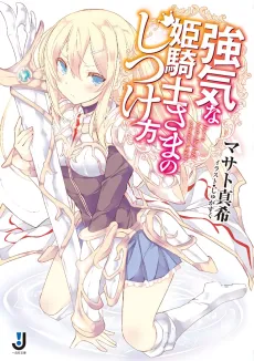 How to baste the bold princess knight. cover
