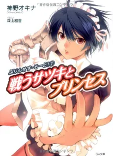 Princess Sword! cover