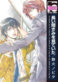 Nagai Aida Kimi wo Miteita cover