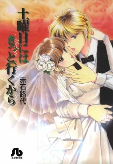 Doyoubi ni wa Kitto Iku kara cover