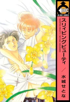 Sleeping Beauty cover