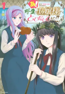 A! Yasei no Ojou-sama ga Tobidashite Kita!! cover
