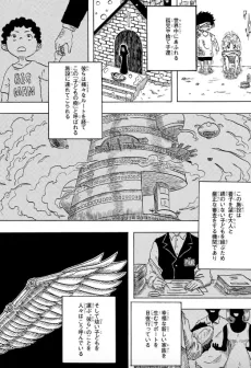 IBIS cover