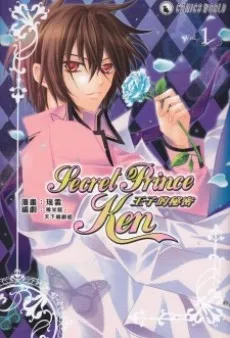 Secret Prince Ken cover