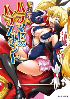 Mahou Ninpu Haramase ∞ Harassment cover