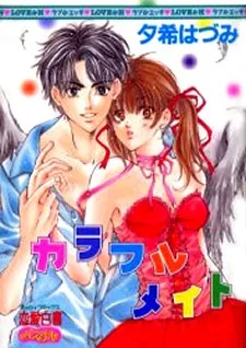 Colorful Mate cover