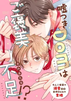 Usotsuki Dom wa Gohoubi Busoku!? cover