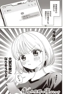 Kowareta Danna no Nekashitsuke cover