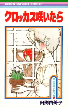 Crocus Saitara cover