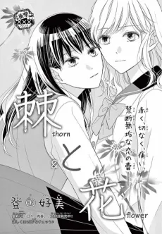 Toge to Hana cover