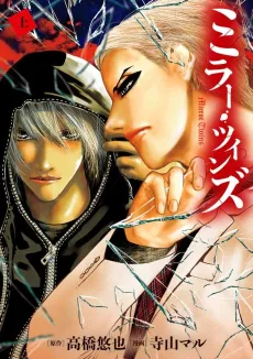 Mirror Twins cover