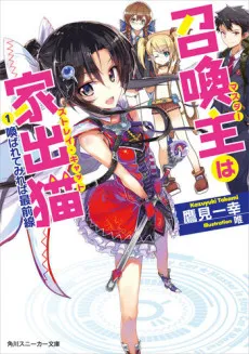 Master wa Stray Cat cover
